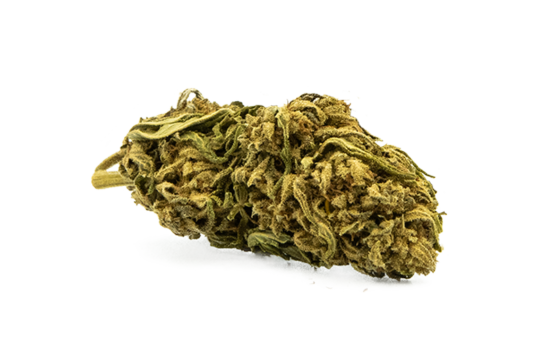 infusion-fleurs-cbd-original-gorilla