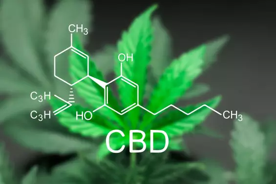 La Structure Chimique du CBD